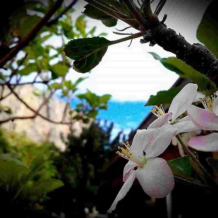 Costa Sauci * San Vito Lo Capo